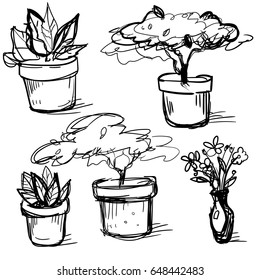 Pots with rasteny. Drawing of plants. Bystry sketch of house plants