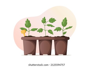 Cacerolas con plántulas. Hogares, jardinería. Cultivación de plantas de jardín. Preparándose para la primavera, plantando plantas. Proceso creciente. Ilustración vectorial para afiches, banner, portada, tarjeta