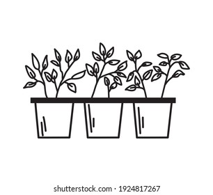 Potes con plántulas sobre fondo blanco en el estilo de contorno. Ilustración vectorial.