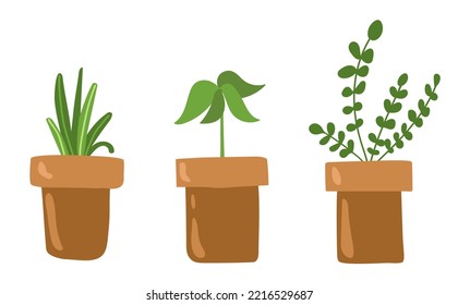 Pots with sprouts isolated on white background. vector illustration.