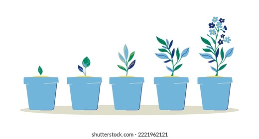 Pots as stages growing flower vector illustrations set  Collection cartoon drawings and process growth blue plant white background  Growth  cultivation  nature  development concept