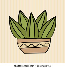 Potted aloe. Hand drawn succulent. Black outline. Vector illustration.