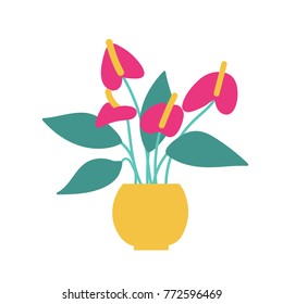 A potted anthurium isolated on white. A flamingo lily home plant. Decorative flowers in pot. Hand drawn flat cartoon illustration. Icon isolated on white. Vector