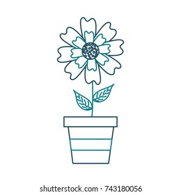 potted aster flower natural petal decoration image