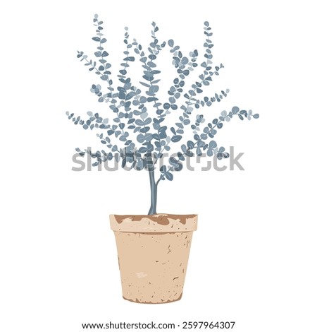 Potted baby blue eucalyptus tree isolated vector illustration. Young silver dollar eucalyptus plant in a clay pot. Garden decorative element