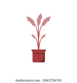 potted beautiful plant for your nature design. plant illustration with flat style