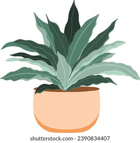 Potted Bird Nest Fern Illustration	
