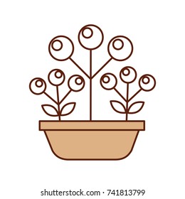 potted branch autumn berries plant nature