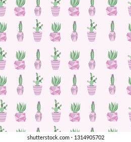 potted cacti background