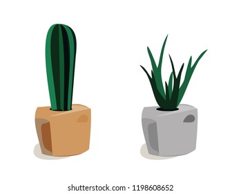 Potted cacti on white background. Vector illustration.