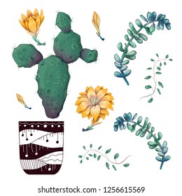 Potted cacti and succulents plants badge collection set.