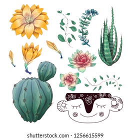 Potted cacti and succulents plants badge collection set.