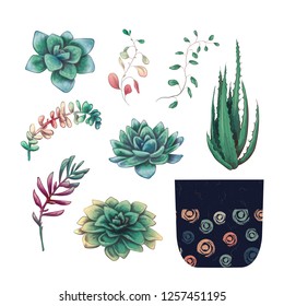 Potted cacti and succulents plants badge collection set.