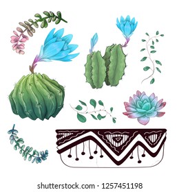 Potted cacti and succulents plants badge collection set.