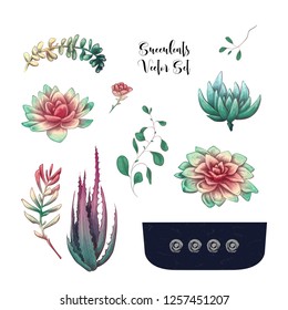 Potted cacti and succulents plants badge collection set.