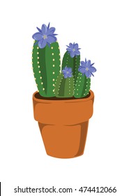 Potted Cactus with blue flowers.