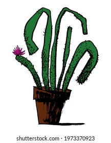 Potted cactus calligraphy. Colored vector illustration. It can be used on social media, articles, publications, postcards, prints, posters, supermarkets, boutiques, websites, brochures, price tags.