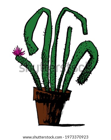 Potted cactus calligraphy. Colored vector illustration. It can be used on social media, articles, publications, postcards, prints, posters, supermarkets, boutiques, websites, brochures, price tags.