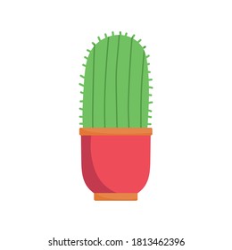 potted cactus decoration isolated design white background vector illustration