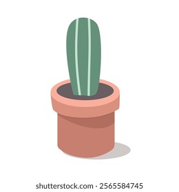 Potted cactus. Cactus element. Cacti. Home plant. Florist shop. Mexican plant. Succulent. 