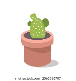 Potted cactus illustration. House plant. Desert plant. Decorative plant. Botany. Cactaceae. Cacti element.