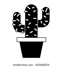 potted cactus natural decoration ornament