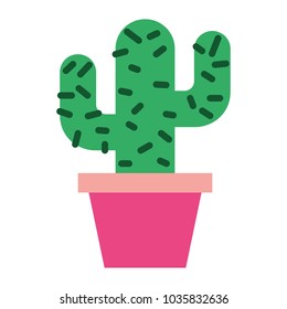 potted cactus natural decoration ornament