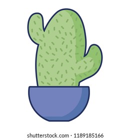 potted cactus nature flora decoration