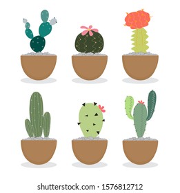 Cactus afilado sobre un fondo blanco