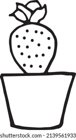 Potted cactus on a white background