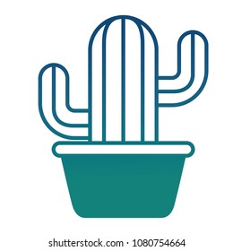 potted cactus plant botanical decoration