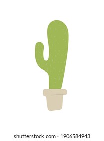 potted cactus plant isolated on white background vector illustration