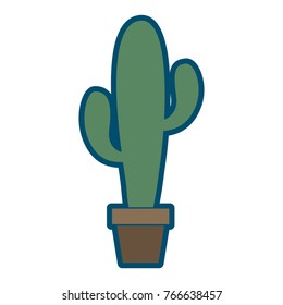 potted cactus plant natural decoration interior