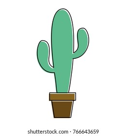 potted cactus plant natural decoration interior