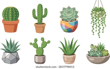 Potted cactus and succulent plant vector illustration set with aloe vera and string of pearls.eps
Description
