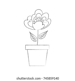 potted cherry flower nature delicate bloom image