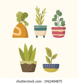 Potted Cute House Plants Collection