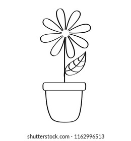 Potted Daisy Flower Petal Leaves Decoration