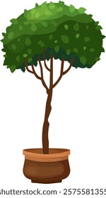 Potted decorative tree. Vector tree in a flowerpot. Houseplant for home or office interior decoration