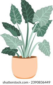 Potted Elephant Ears Plant Illustration