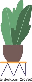 Potted exotic flower on table