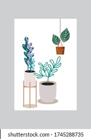 Potted exotic plants collection in vector illustration. Versatile and ready to use design template.