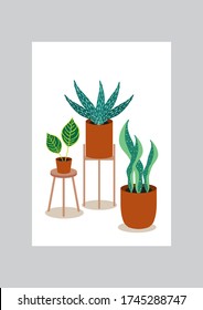 Potted exotic plants collection in vector illustration. Versatile and ready to use design template.