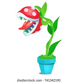 Potted fancy carnivorous flowering plant isolated on white background. Vector cartoon close-up illustration.