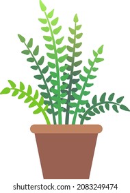 Potted fern. Urban jungle decoration. Green houseplant