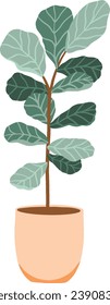 Potted Fiddle Leaf Fig Plant Illustration	
