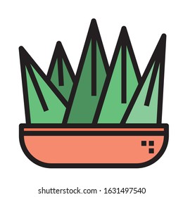 potted flat cactus icons abstract