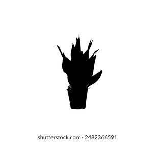 potted flower black on transparent background,