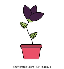 potted flower decoration