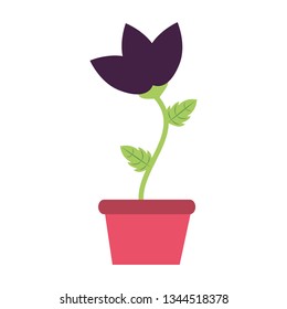 potted flower decoration